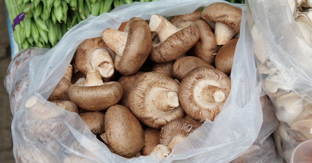 Świeże brązowe pieczarki shiitake w przezroczystym plastikowym worku na straganie warzywnym.